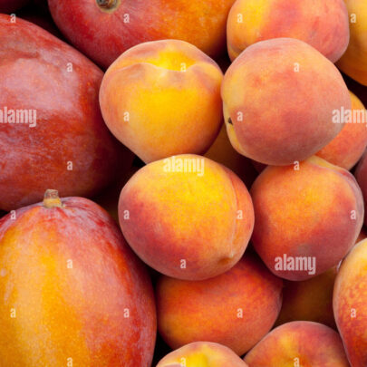 FRUTAL DULCE